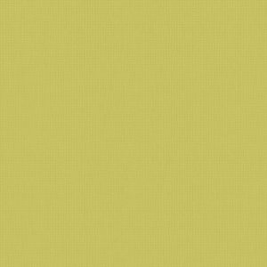 Vertical Blinds - Arona Zest